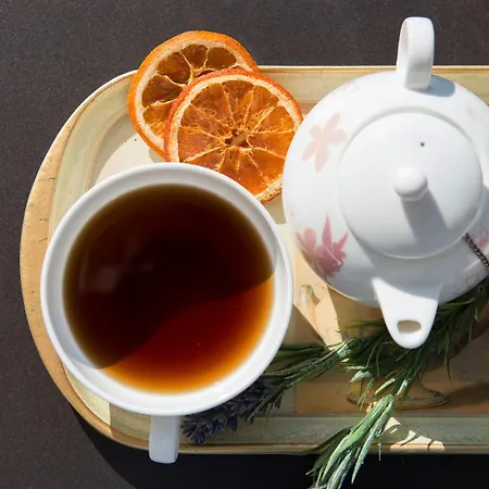 Otel Kastraki Kalampáka