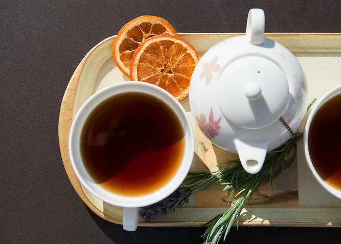 מלון Kastraki קאלאבאקה